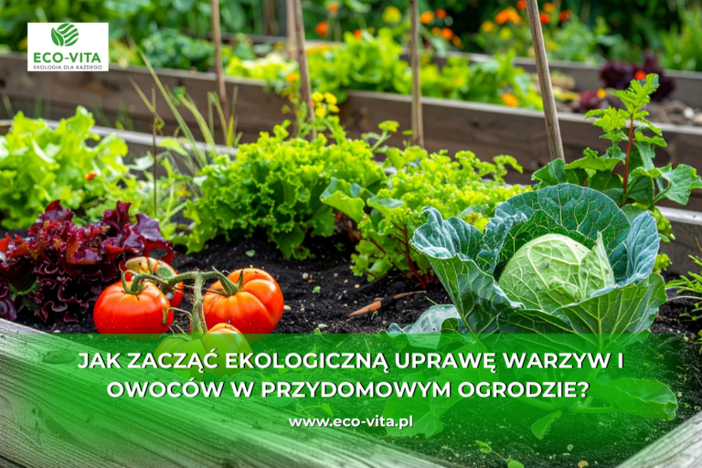 Ekologiczna uprawa warzyw i owoców w przydomowym ogrodzie