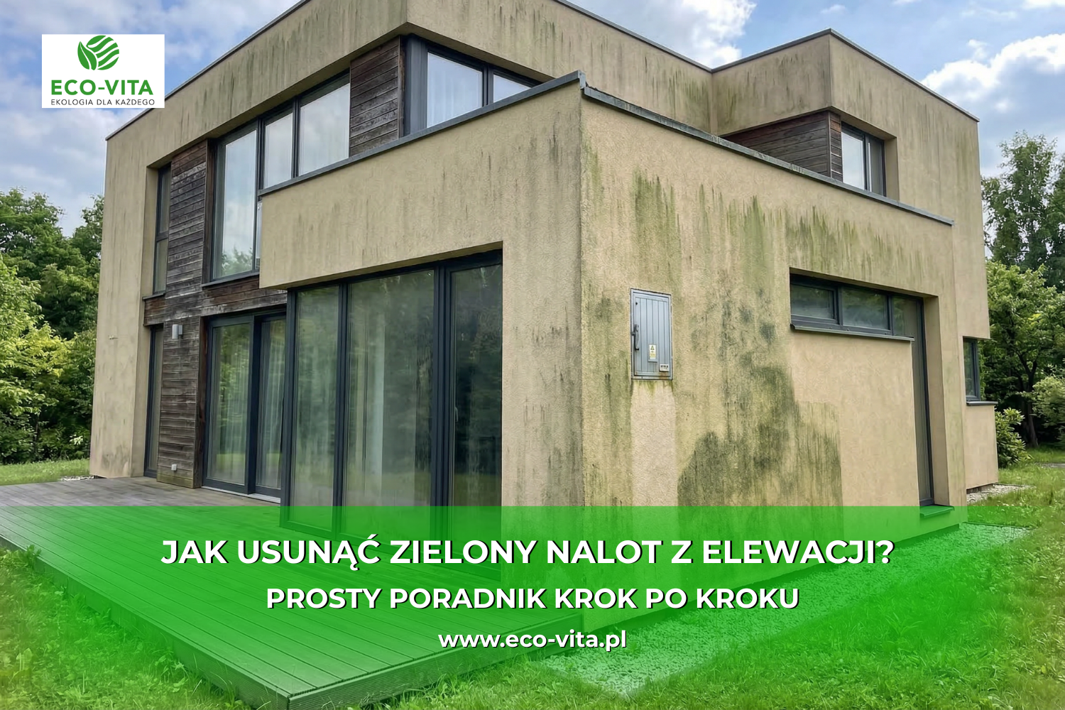 Jak usunąć zielony nalot z elewacji