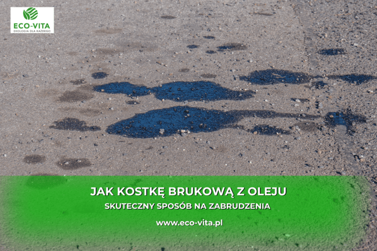 jak-wyczyscic-kostkę-brukową